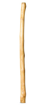Medium Size Natural Finish Didgeridoo (TW1708)